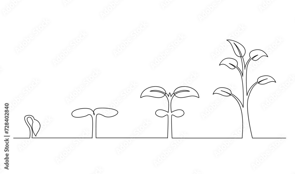 Continuous line drawing of step of tree growth. Plants grow isolated on white background template Continuous line drawing of step of tree growth. Plants grow isolated on white background template