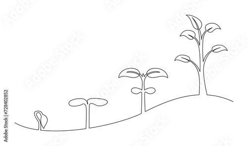 Continuous line drawing of step of tree growth. Plants grow isolated on white background template