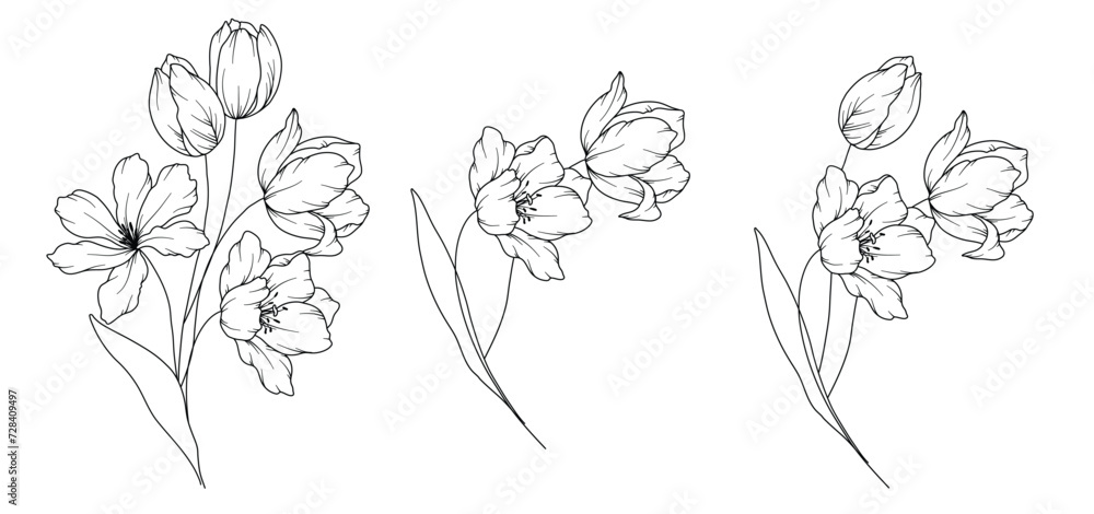 Fototapeta premium Tulips Line Drawing. Black and white Floral Bouquets. Flower Coloring Page. Floral Line Art. Fine Line Tulips illustration. Hand Drawn flowers. Botanical Coloring. Wedding invitation flowers.