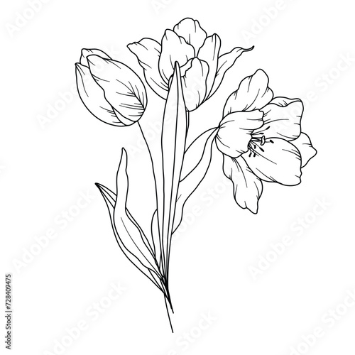 Tulips Line Drawing. Black and white Floral Bouquets. Flower Coloring Page. Floral Line Art. Fine Line Tulips illustration. Hand Drawn flowers. Botanical Coloring. Wedding invitation flowers.