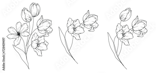 Tulips Line Drawing. Black and white Floral Bouquets. Flower Coloring Page. Floral Line Art. Fine Line Tulips illustration. Hand Drawn flowers. Botanical Coloring. Wedding invitation flowers.