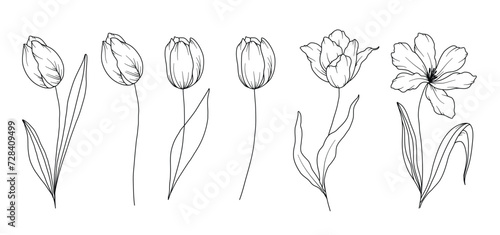 Tulips Line Drawing. Black and white Floral Bouquets. Flower Coloring Page. Floral Line Art. Fine Line Tulips illustration. Hand Drawn flowers. Botanical Coloring. Wedding invitation flowers