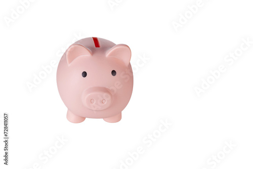 Piggy bank pig on isolated white background close up