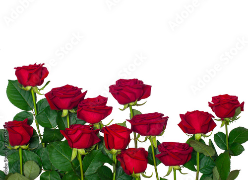Mockup with red roses isolated on white background.