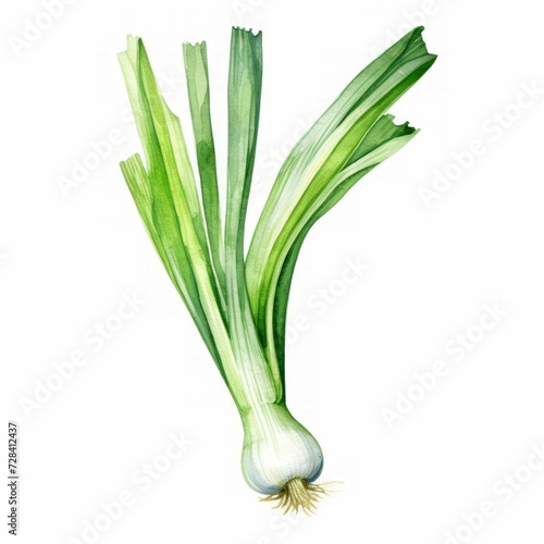 watercolor leek 