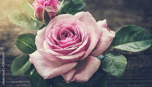 pink roses vintage flowers