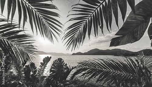 vector tropical leaves silhouettes monochrome set