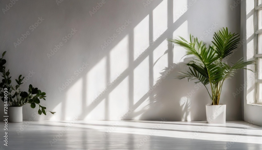 abstract white studio background for product presentation empty room with shadows of window display product with blurred backdrop banner abstract white studio background for product presentation empty room with shadows of window display product with blurred backdrop banner