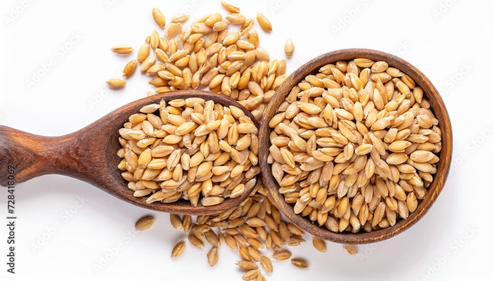 wheat grains isolated on white background top view wheat grains isolated on white background top view