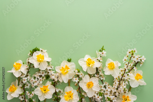 Festive background with spring flowers, white daffodils and flowering cherry branches on a light green pastel background © pundapanda