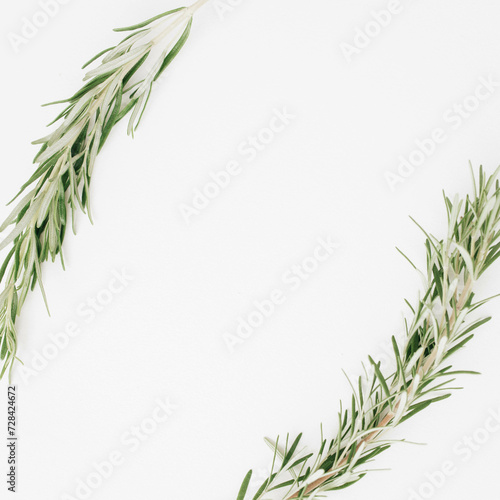 White background with rosemary in the form of a frame