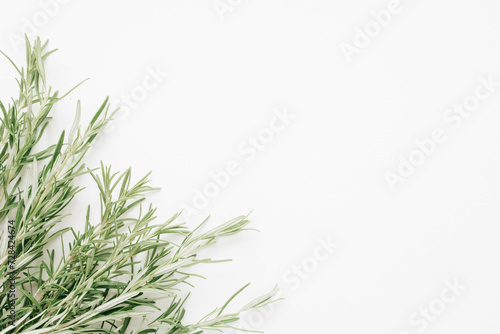 Rosemary light background. Sprigs of rosemary top view