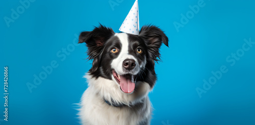 border collie dog wearing party hat, in the style of studio portraiture © Possibility Pages