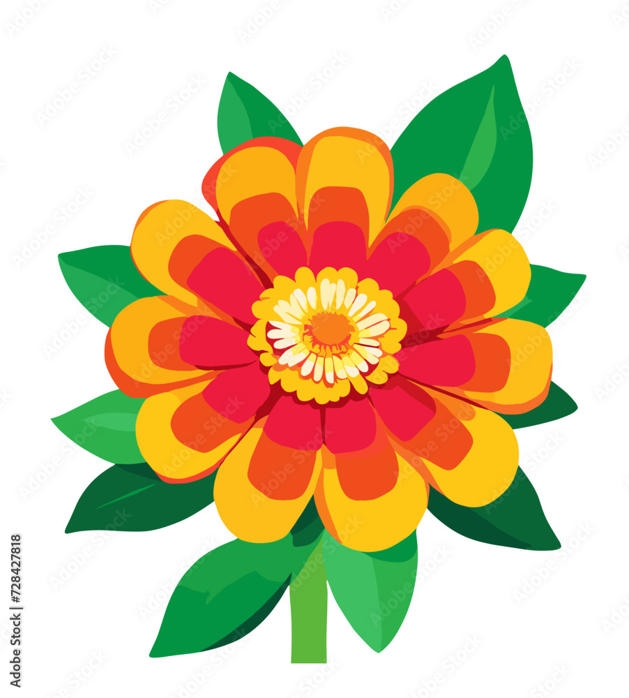 flower isolated on white flower isolated on white