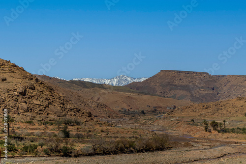 Snow covered Atlas Mountains and pine forest between Marrakesh and Ouarzazate.