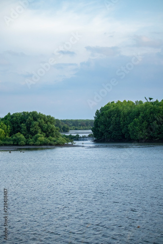 Aceh mangrove forest © Azmil