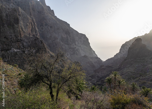 Masca village in sunset on Tenerife photo