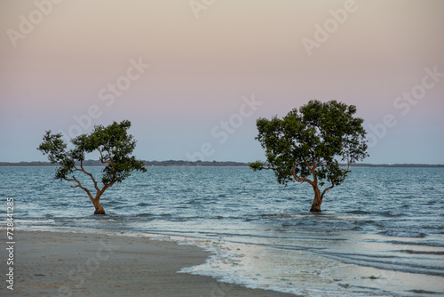 maputo city sunset on the beach nr 5