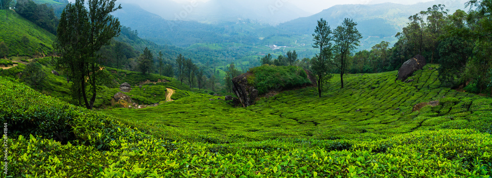 Munnar, Kerala. Panorama Landscape Photography of Tea Farm and wonderful nature landscapes Munnar, Kerala. Panorama Landscape Photography of Tea Farm and wonderful nature landscapes