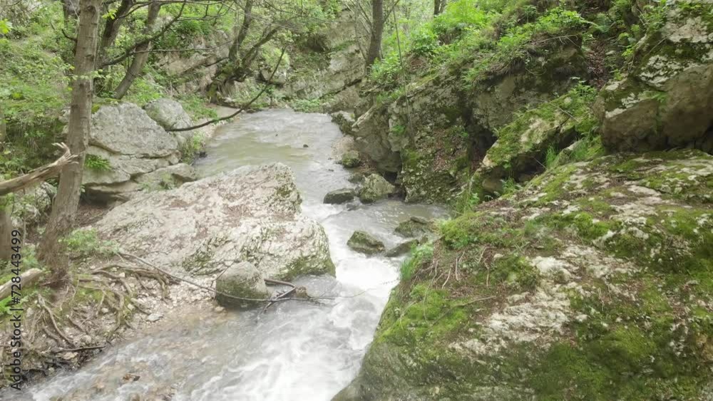 Caucasus, North Ossetia. Midagrabin gorge. Stream in a mountain forest. Caucasus, North Ossetia. Midagrabin gorge. Stream in a mountain forest.