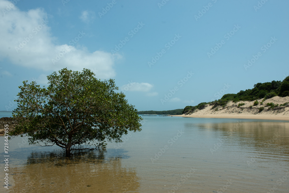 beach with trees and clouds, maputo, ilha de inhaca, nr 4