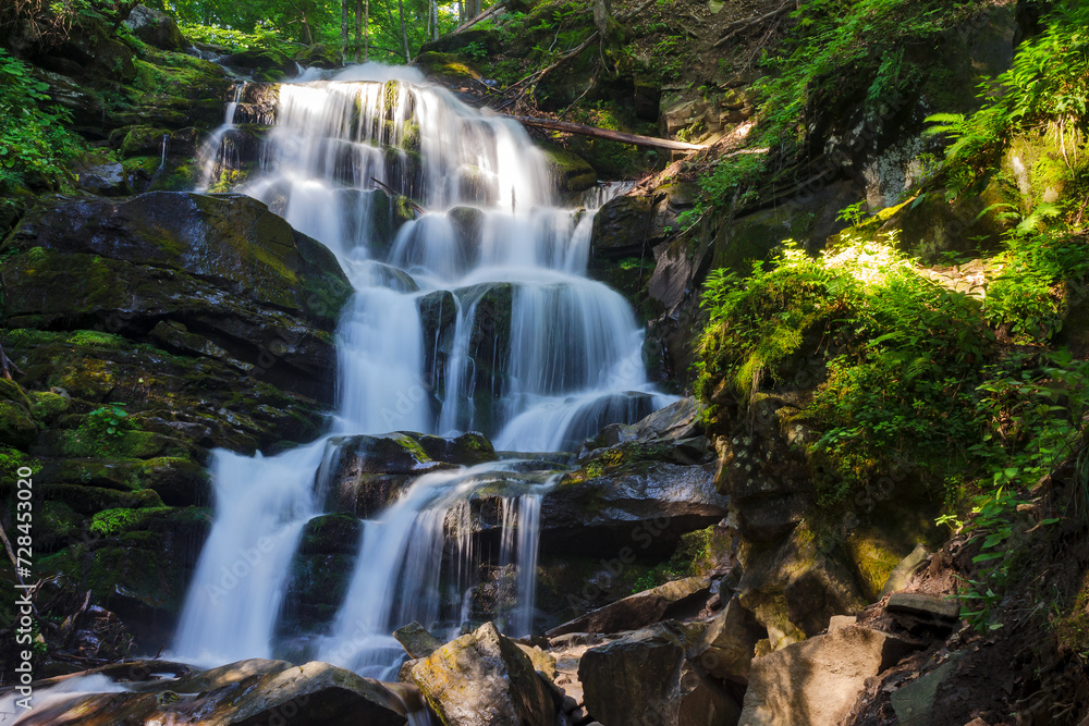 Fototapeta premium lush waterfall shypit of carpathian mountains in summer. green nature scenery in morning light. popular travel destination of ukraine