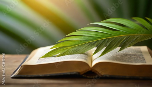 Palm Sunday. The Green Palm Laying On The Bible