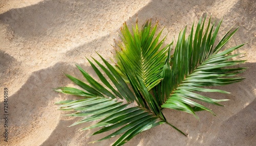 Palm Sunday. The Green Palm Laying On Desert.