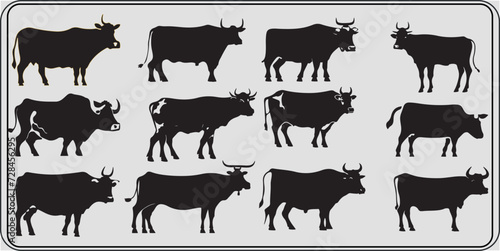 Set of cows. Black silhouette cow isolated on white. Hand drawn vector illustration design
