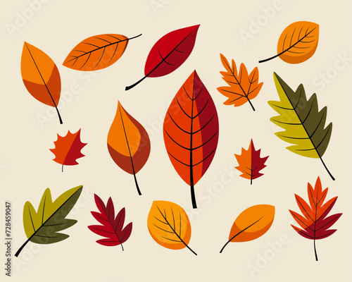 hand drawn autumn leaves collection