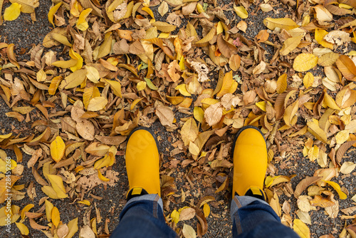 Yellow boots crunch in dry autumn leaves fallen on ground photo