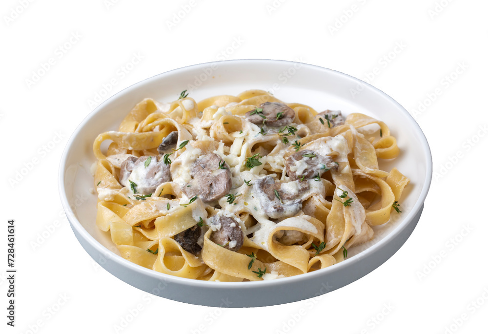 Homemade Italian fettuccine pasta (Fettuccine al Funghi Porcini) with mushroom and cream sauce. Traditional Italian cuisine.
