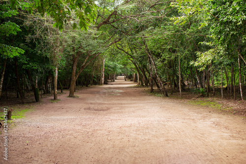 path through the dense, shady tropical jungle of the Yucatan