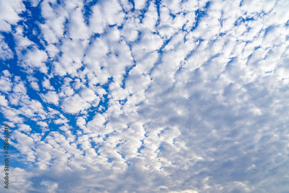 Obraz premium 青空と広がる鰯雲20220529-3