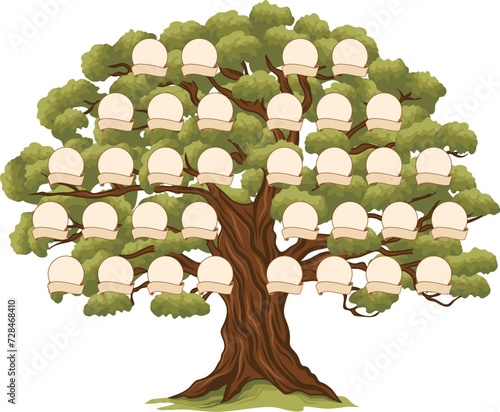 Genealogy family tree with frames for ancestry history branch, vector template background, Genealogy family tree generation and parents relationship with picture photo frame and name ribbons