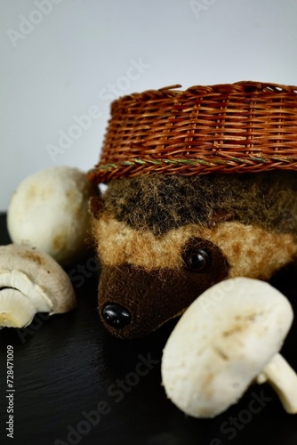 champignons lie on a black background, and next to them a hedgehog covered with a wicker basket