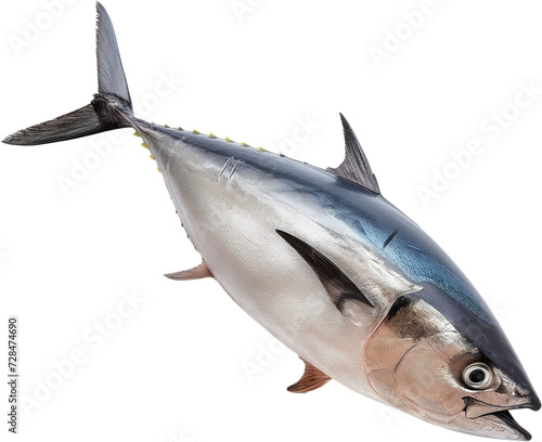Ocean’s Speedster: The Agile Tuna