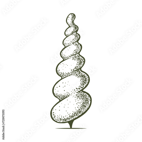 Sketch of topiary conifers. Sheared thuja sphere. Geometric trees for advertising and landscape design. Isolated on white background. Vector 