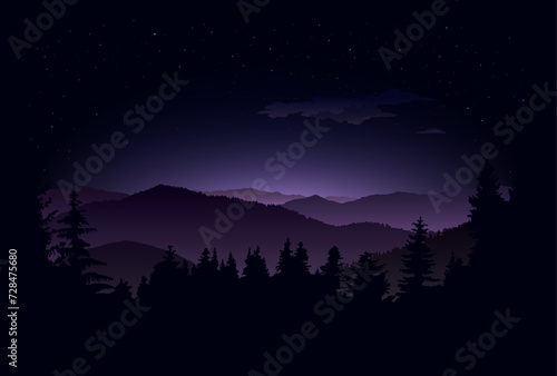 Night landscape. Vector illustration.Design for background, wallpaper.