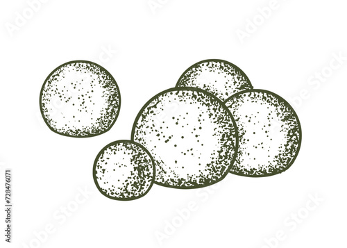  Sketch of topiary conifers. Sheared thuja sphere. Geometric trees for advertising and landscape design. Isolated on white background. Vector