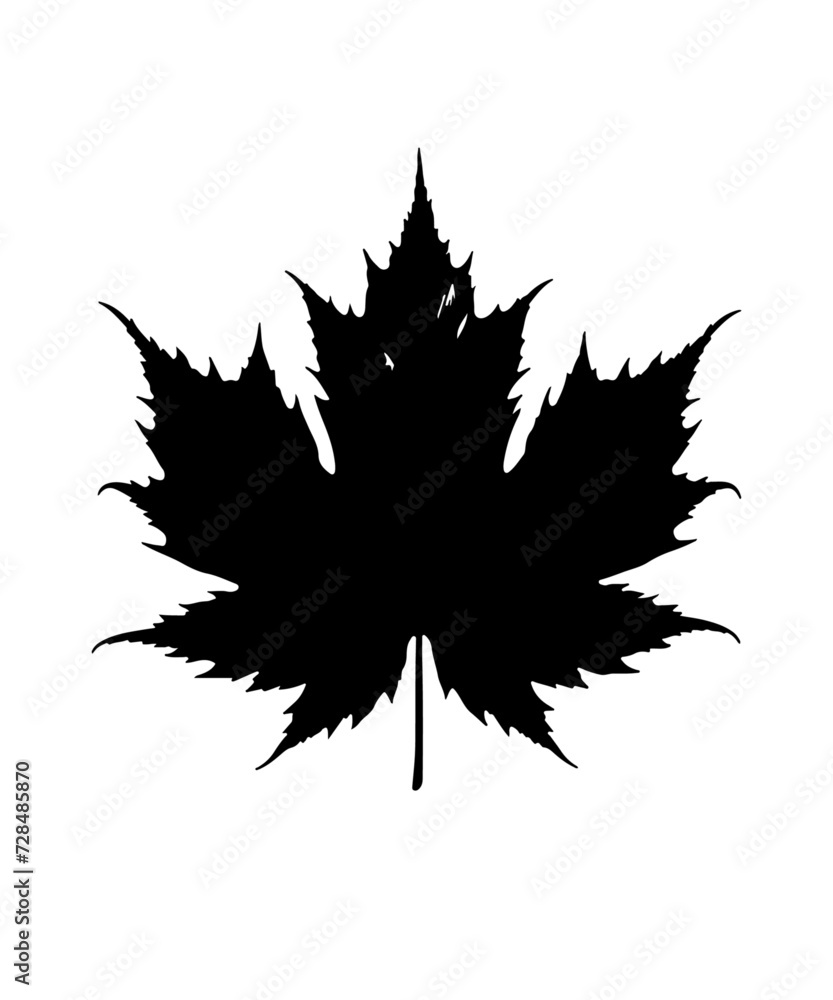 Maple leaf silhouettes, Maple leaf icon, Maple leaf vector illustration, Maple leaf outline, Leaf silhouettes, Leaf Maple leaf silhouettes, Maple leaf icon, Maple leaf vector illustration, Maple leaf outline, Leaf silhouettes, Leaf
