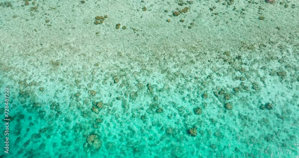 Sea floor with turquoise clear water in Romblon, Philippines. Sea floor with turquoise clear water in Romblon, Philippines.