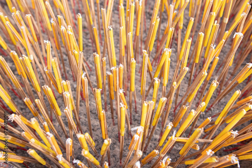 Incense sticks and candles