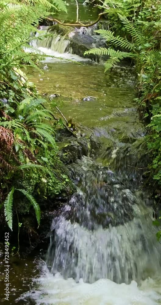 A waterfall captured from an elevated angle in daylight. Vertical video. pano A waterfall captured from an elevated angle in daylight. Vertical video. pano