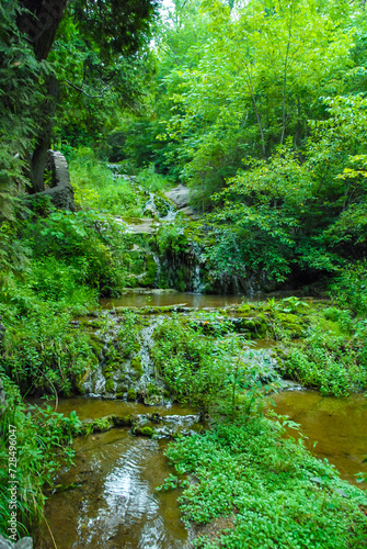 Cedar Creek view in Natural Bridge State Park  Virginia