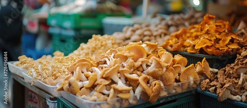 Various types of mushrooms, including clouded agaric, parazol mushroom, summer bolete, Suillus luteus, and Leccinum Rufum, can be found on the kitchen counter.