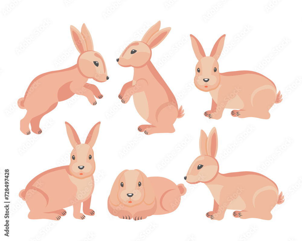 Set of cute Easter bunnies in different poses. Animal illustration, vector