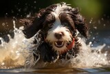 Playful dog happily bathing in the sparkling river - perfect for adding text or captions