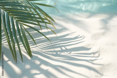 The water reflects the shadows of palm leaves on the white sand beach  creating a beautiful abstract background perfect for a summer vacation.