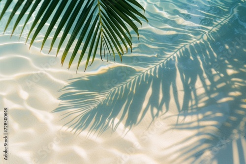 The top view of a tropical leaf's shadow on the water's surface creates a stunning abstract background for a summer beach vacation. © tonstock